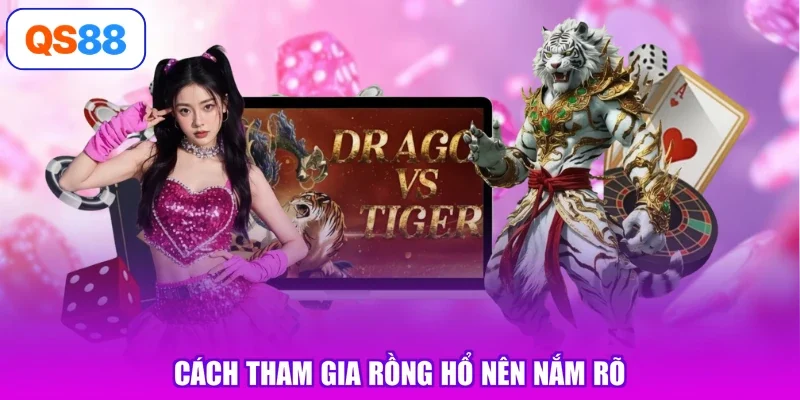 Cách tham gia Rồng Hổ nên nắm rõ