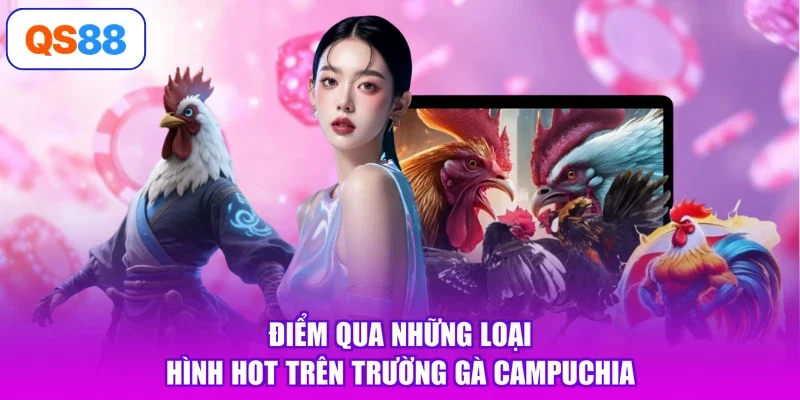 Điểm qua những loại hình hot trên trường gà Campuchia