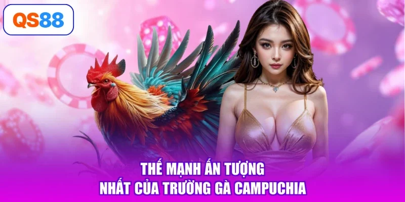 Thế mạnh ấn tượng nhất của trường gà Campuchia