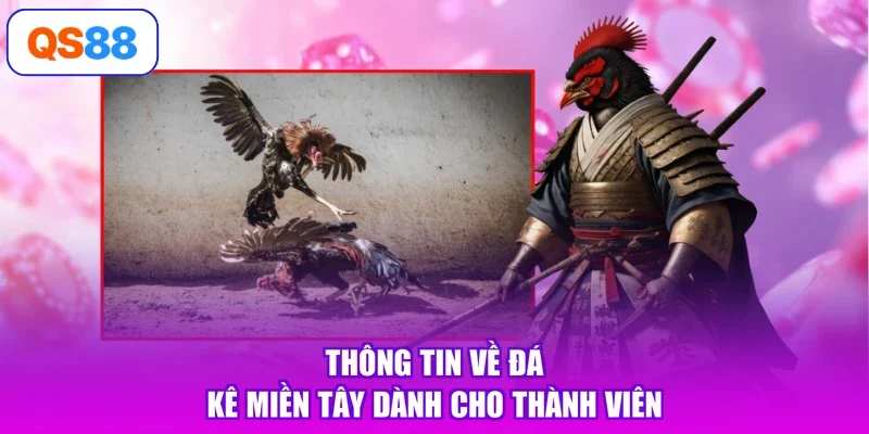 Thông tin về đá kê miền Tây dành cho thành viên