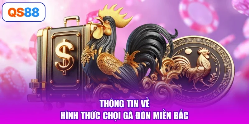 Thông tin về hình thức chọi gà đòn miền Bắc
